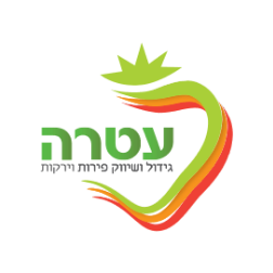 עטרה