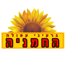גרעינים